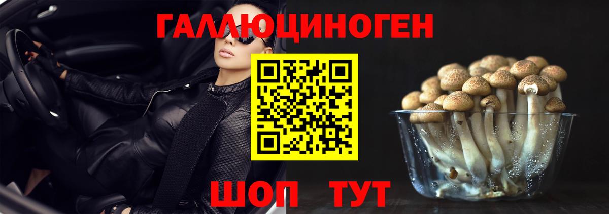 Псилоцибиновые грибы Psilocybe  Псилоцибиновые грибы MAGIC MUSHROOMS  Вход с VPN  купить наркоту  Аксай 